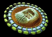 Le rétrovirus HIV. Il s'agit d'une coupe tridimensionnelle en image de synthèse montrant l'acide nucléique protégé par son enveloppe de protéine. Document WWW.MSE.ES