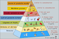 La pyramide alimentaire.