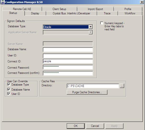 On The Peoplesoft Road Peoplesoft database connectivity part 2/3