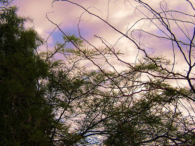 OUR BEAUTIFUL EVENING SKIES - LAUGHLIN, NEVADA.