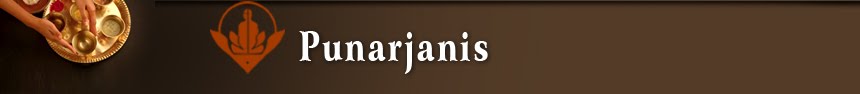Punarjanis