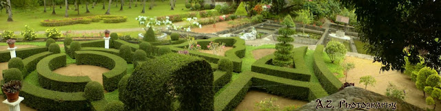Garden Landscape Photos