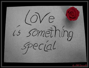 Something Special Love