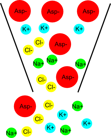 [junct_poten_fig2.png]