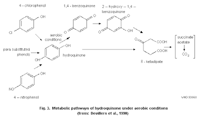 The Secret of Hydroquinone