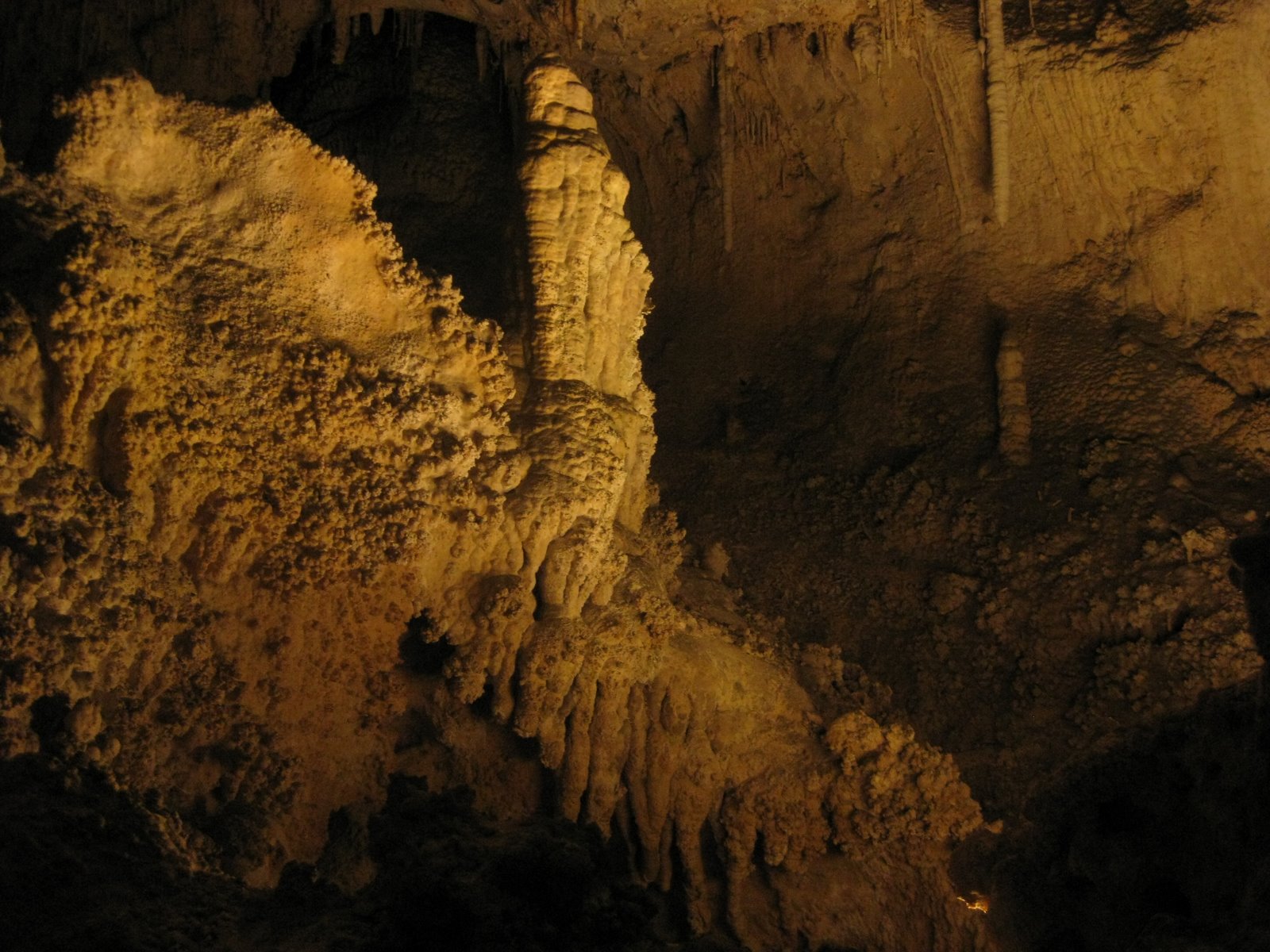 [IMG_0586.JPG]