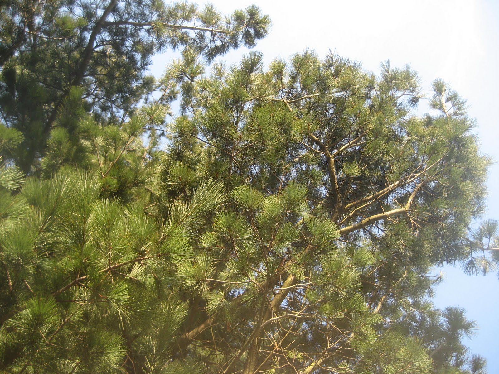 [IMG_3705.JPG]
