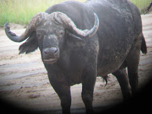 "I could kill you in an instant, so go away