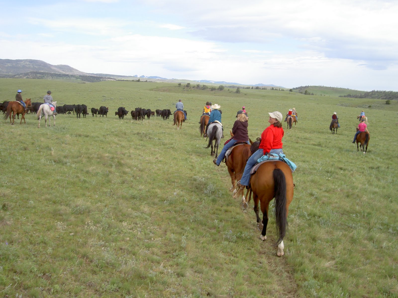 Manning Family Tree Sweet Grass Ranch in MontanaVacation