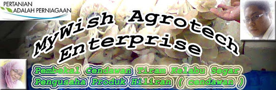 MyWish Agrotech Enterprise
