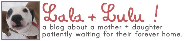 Lala and Lulu!