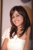 genelia hot thighs exposing on stage of katha audio launch