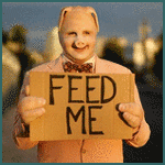 feedme-border.gif