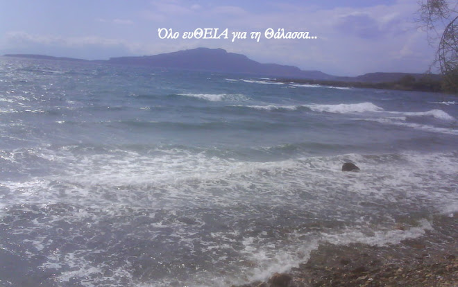 ΌΛΟ ΕΥΘΕΊΑ ΓΙΑ ΤΗ ΘΆΛΑΣΣΑ