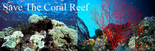 Save The Coral Reef