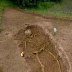 Giant Skeleton