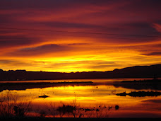 Amanece en las  Marismas