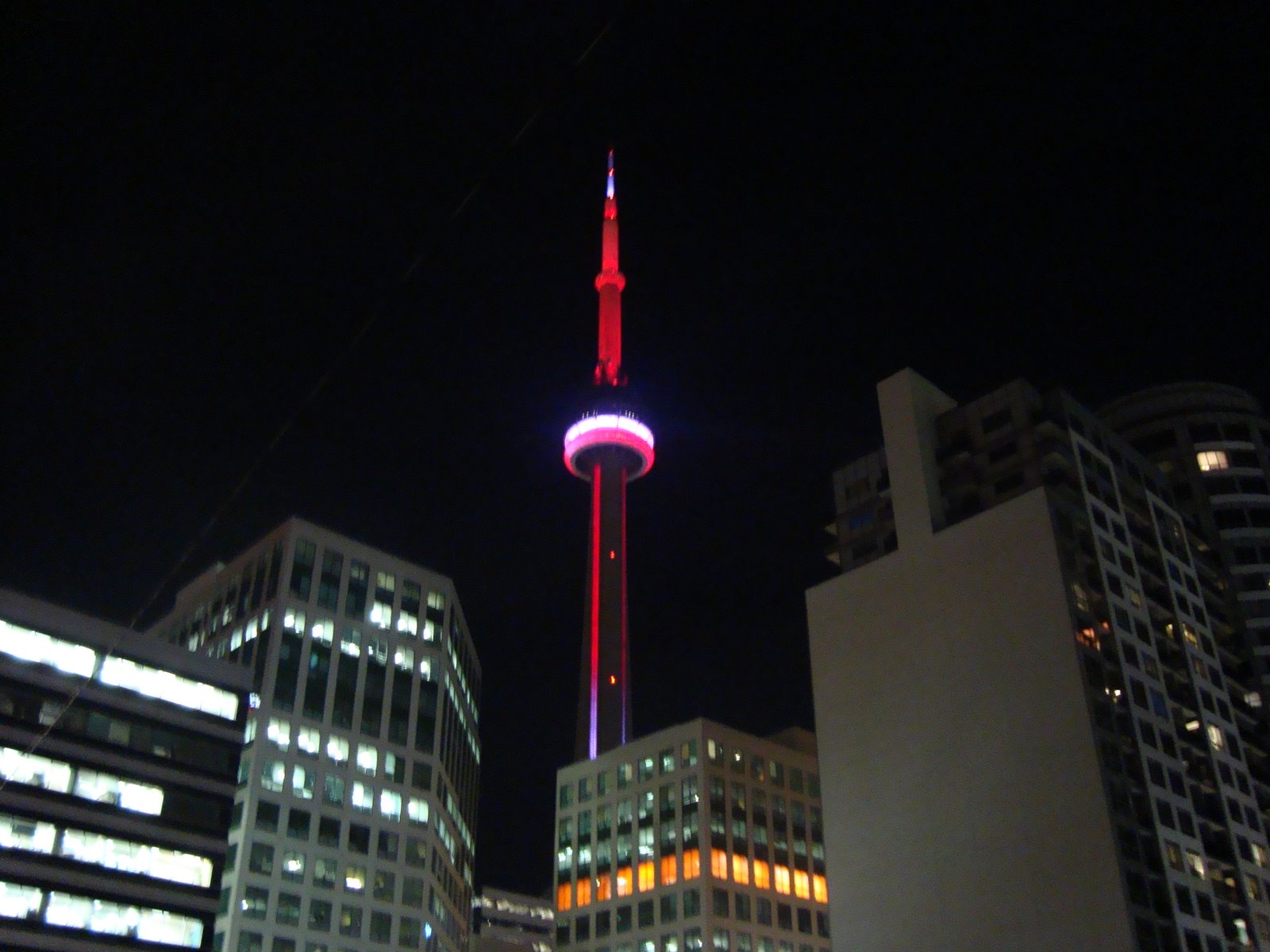 [DSC01551.JPG]