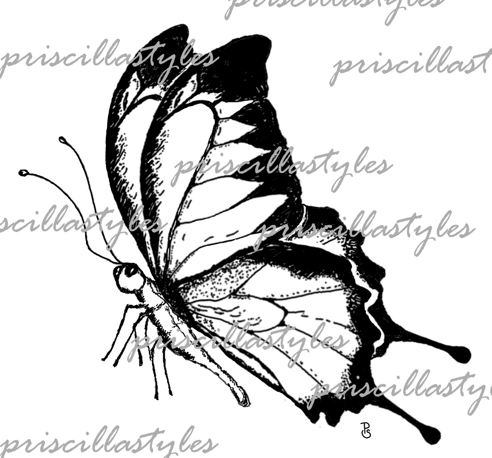 Simple butterfly drawing side view - photo# 8. priscillastyles" Store:...