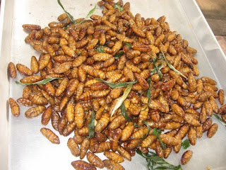 Garnished Maggots