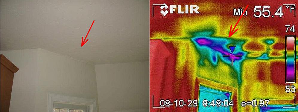 [FLIR1.JPG]