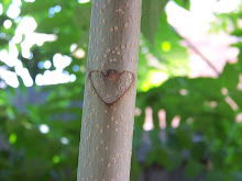 The Love Tree