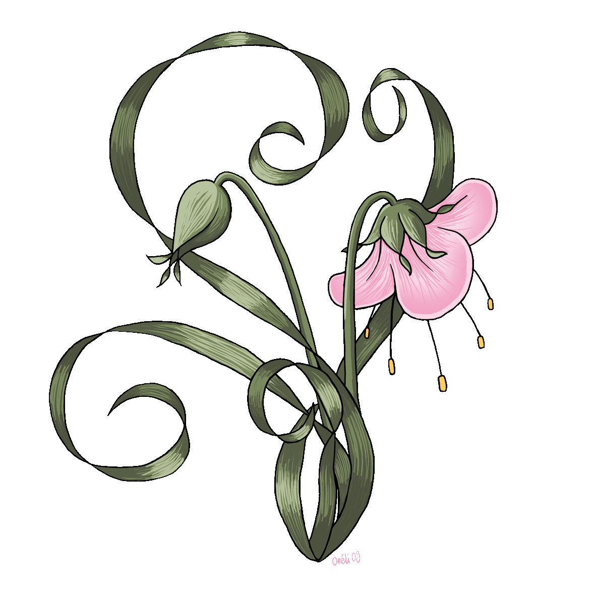 [FLOWER.gif]