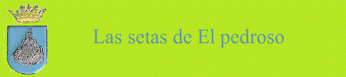 Las setas de El Pedroso