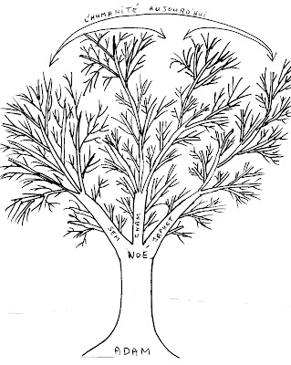 Les scientifiques qui croient à la Bible Arbre+g%C3%A9n%C3%A9alogique