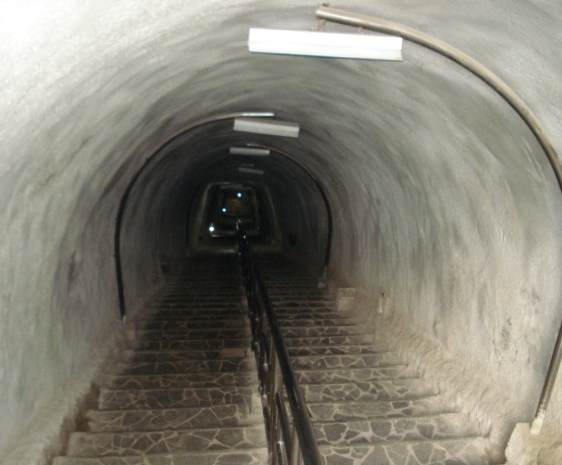 [DSC00980.JPG]