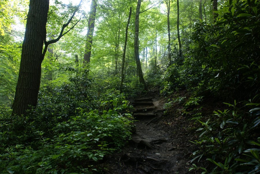 [A-hike-around-Mill's-Pond.jpg]