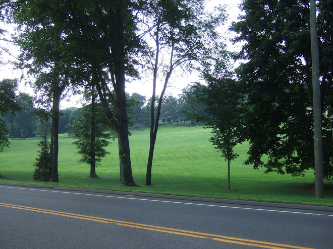 7-28-09 View from Hartford Rd. looking across the "Great Lawn"