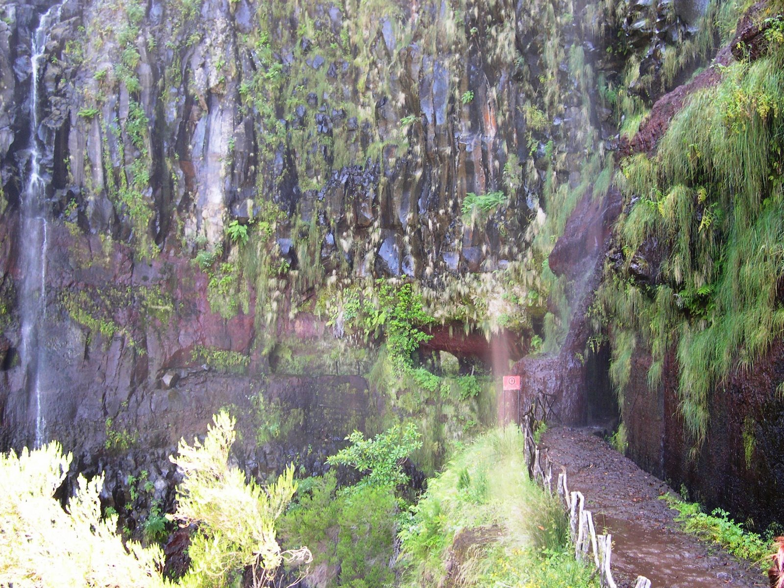 [Rabacal2004_10.JPG]