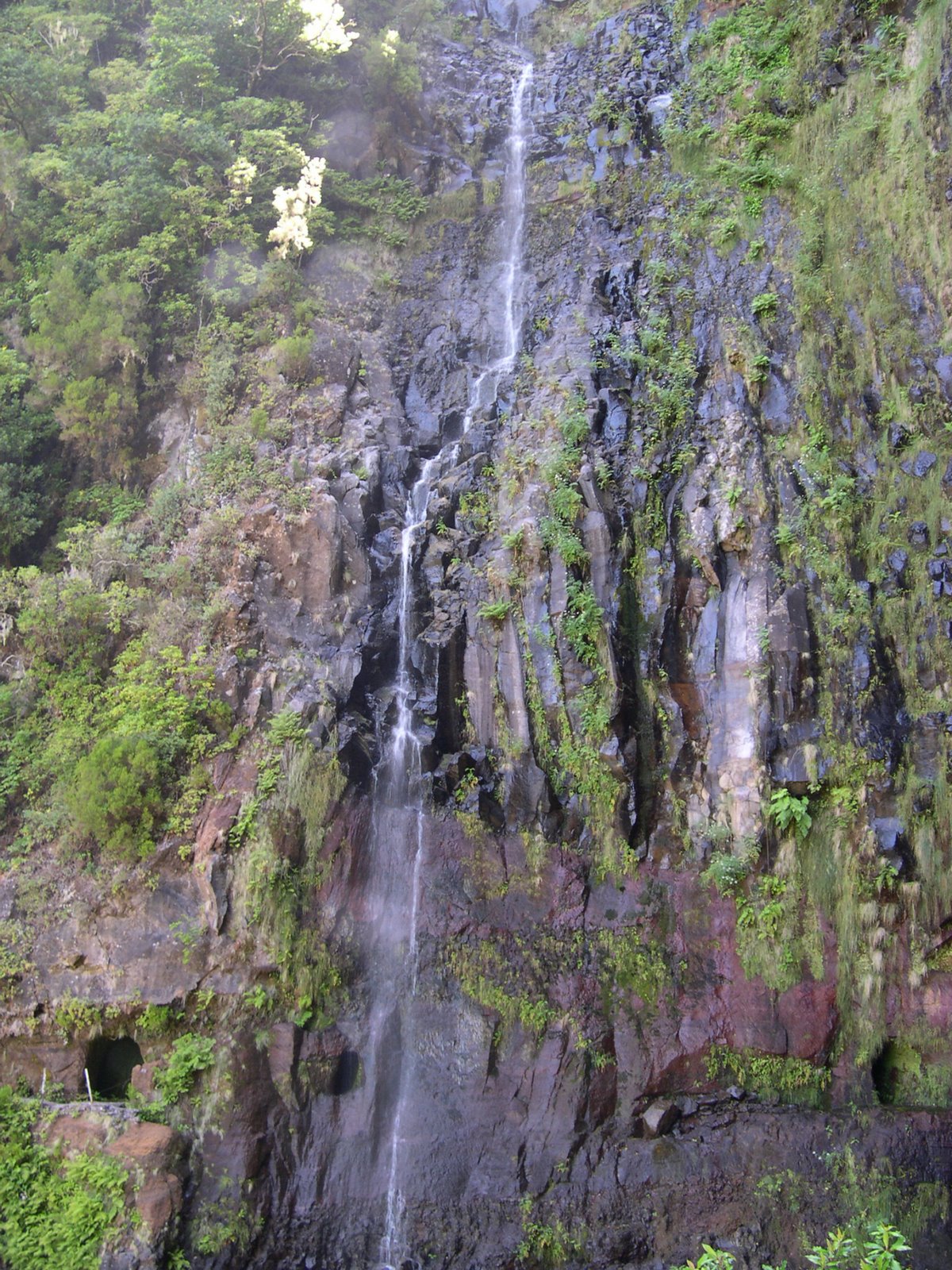 [Rabacal2004_02.JPG]