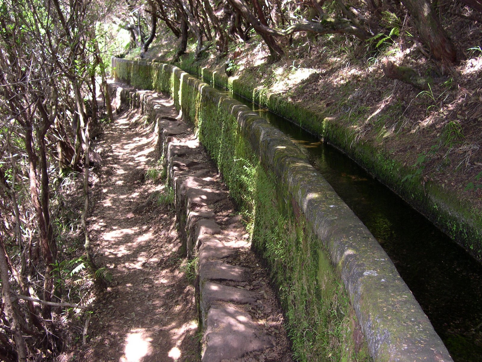 [Rabacal2004_04.JPG]