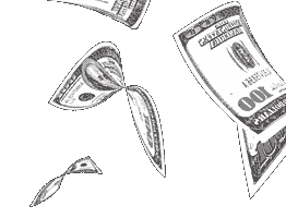 [notas_dollars_caindo_2.gif]