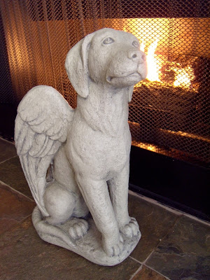 Dog angel