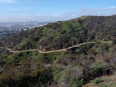 Lush green Runyon Canyon