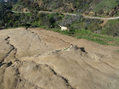 Runyon Canyon slippery slopes