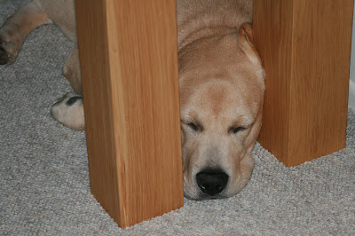 Cooper is now too big to fit