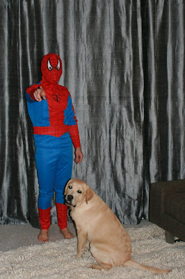 Halloween Spidey & his faithful pup
