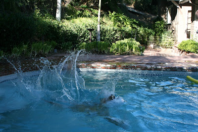 Cooper diving in