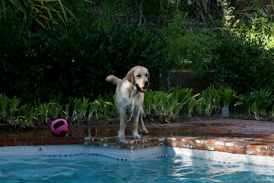 Cooper having fun