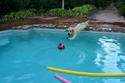 Pool ball Cooper