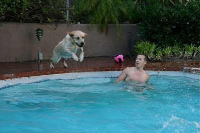 Pool Cooper in action
