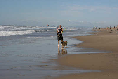 Ball chasing at Huntington Dog Beach