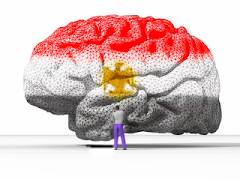 اة لو دى دماغ كل واحد مصرى