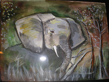 Elephant at Mala Mala Safari Lounge