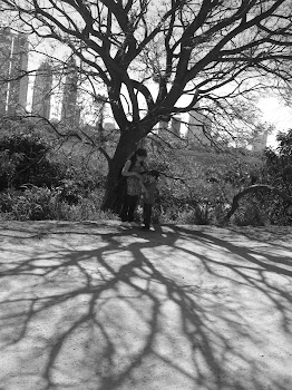 ramas de sentimientos