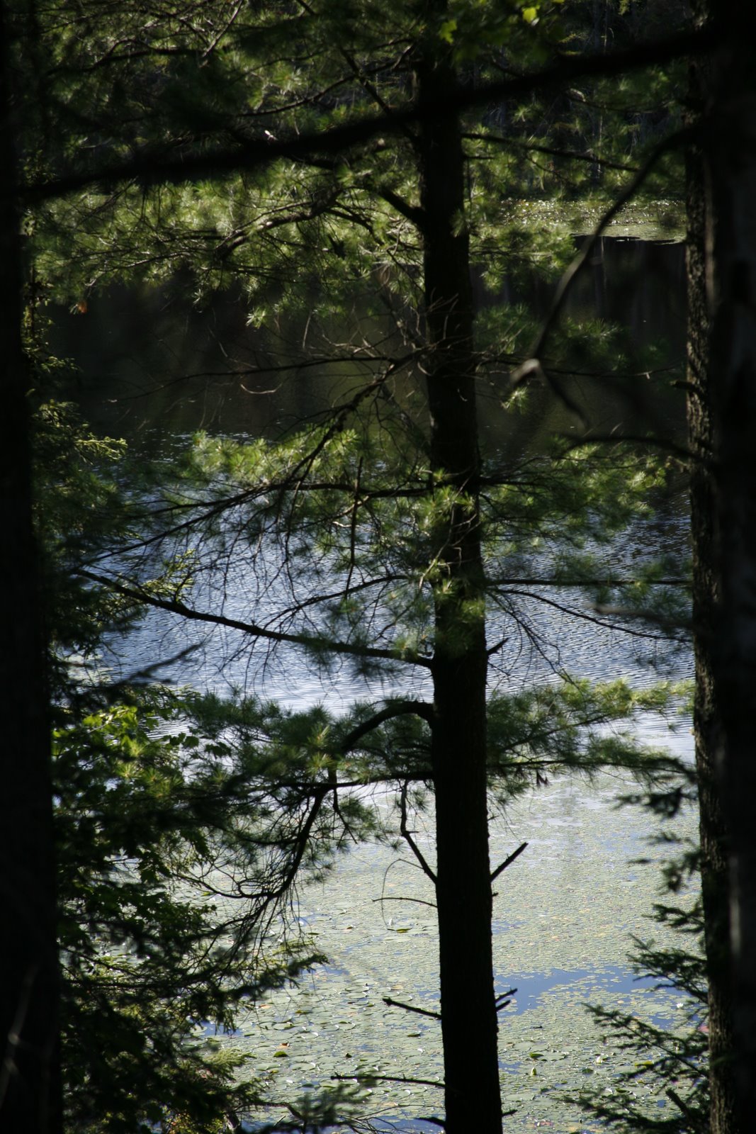 [_MG_3767.JPG]
